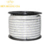 Đèn led dây Rạng Đông RD-LD01