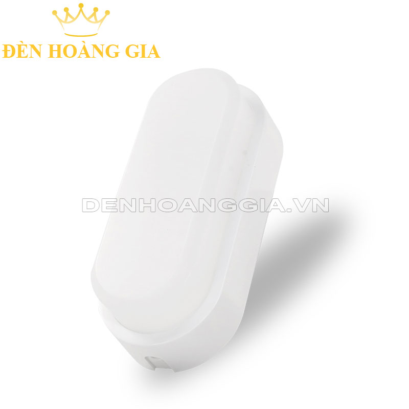 Đèn led gắn tường Rạng Đông LN12 90x195/10W