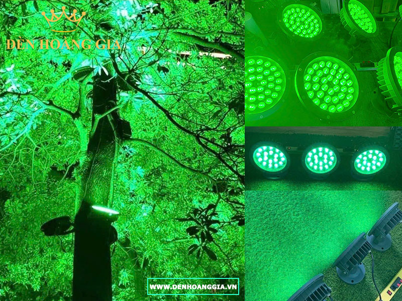 Đèn chiếu cây xanh lá cỡ lớn