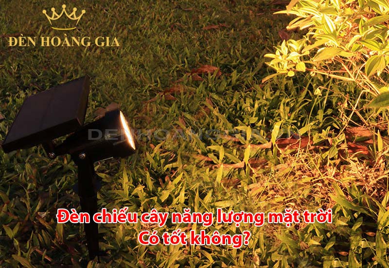 den-chieu-cay-nang-luong-mat-troi-co-tot-khong