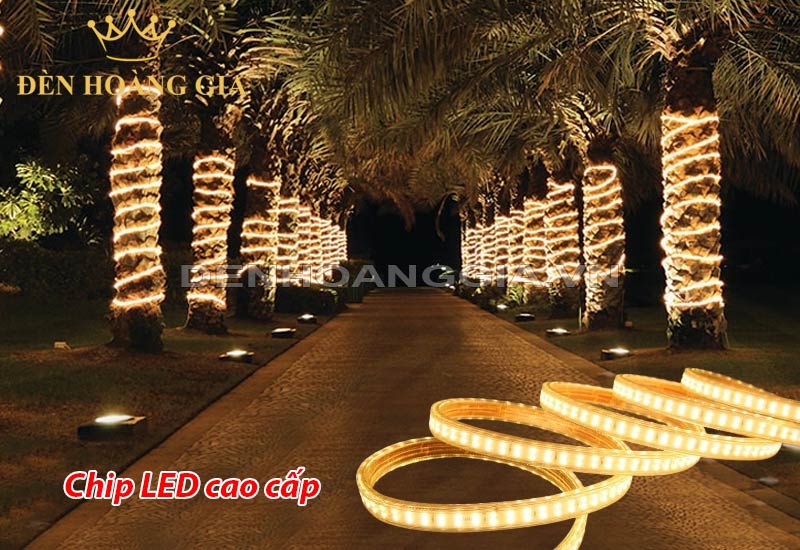 den-led-quan-cay-ngoai-troi-chip-led-cao-cap