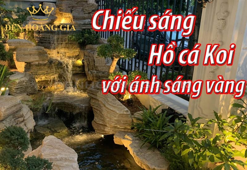 chieu-sang-ho-ca-voi-anh-sang-vang