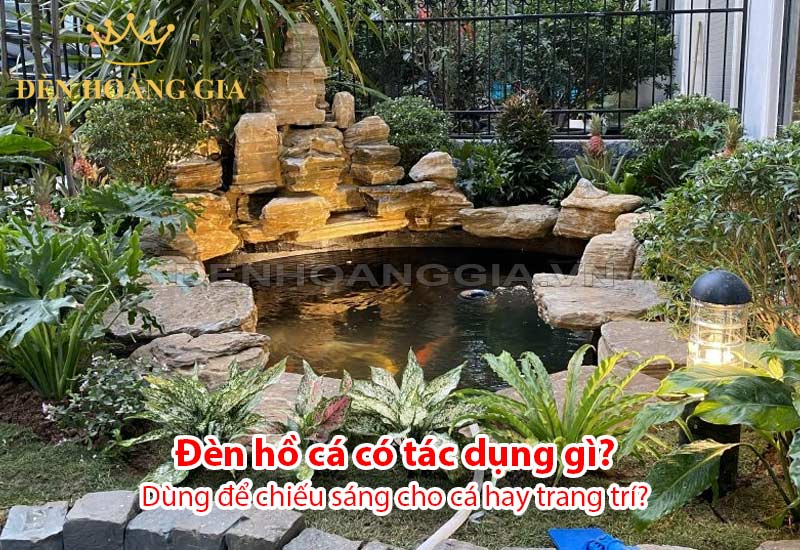 den-ho-ca-co-tac-dung-gi