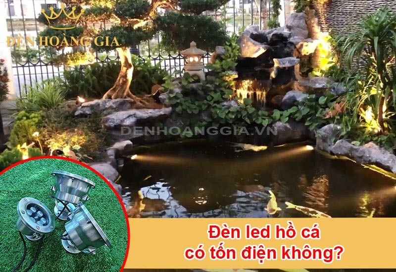 den-led-ho-ca-co-ton-dien-khong