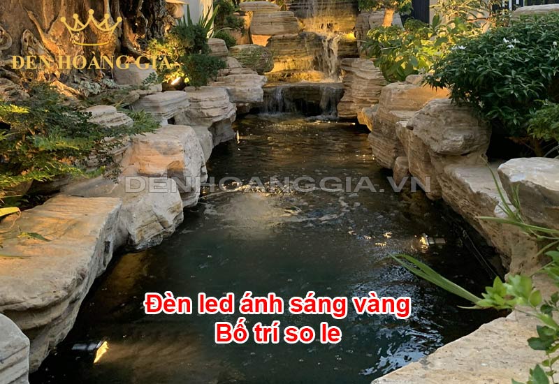 den-led-mau-vang-cho-ho-ca-bo-tri-so-le