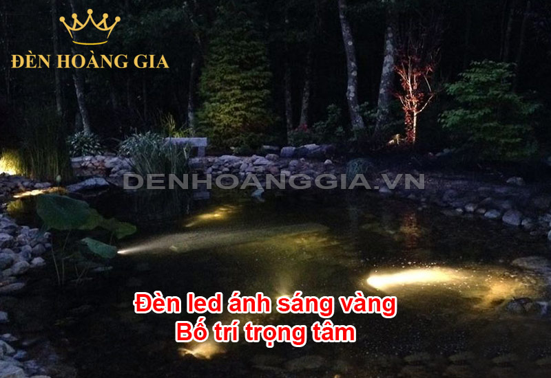 den-led-mau-vang-cho-ho-ca-bo-tri-trong-tam