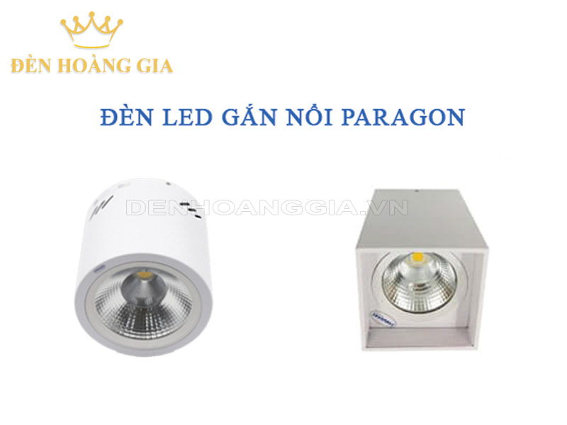 Các mẫu mã đèn LED ống bơ Paragon