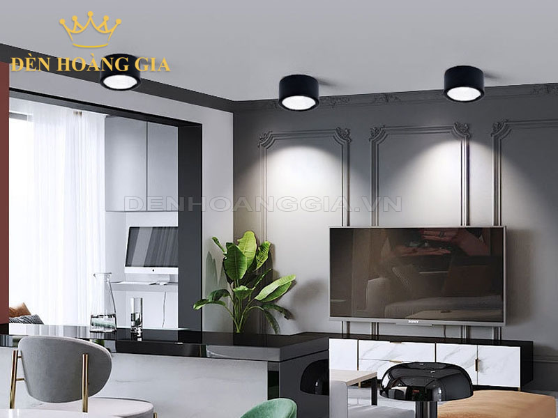 ứng dụng Đèn led ống bơ Philips