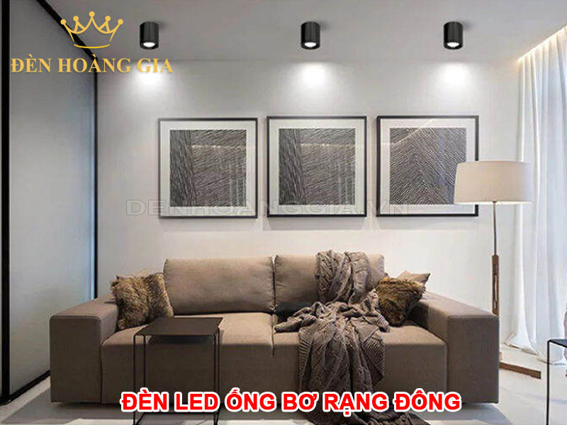 ứng dụng của Đèn led ống bơ Rạng Đông