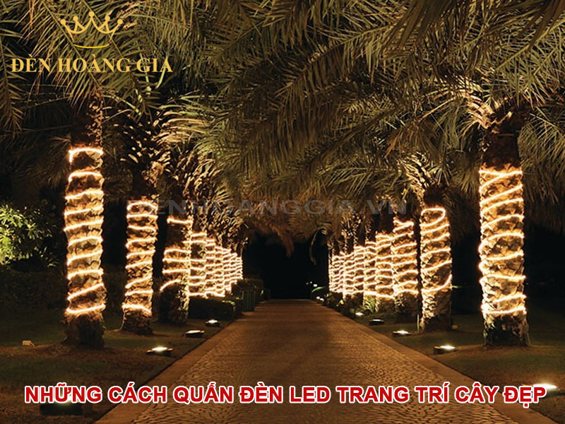 Những cách quấn đèn led trang trí cây đẹp