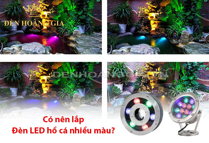 co-nen-lap-den-led-ho-ca-nhieu-mau