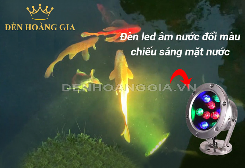 den-led-ho-ca-nhieu-mau