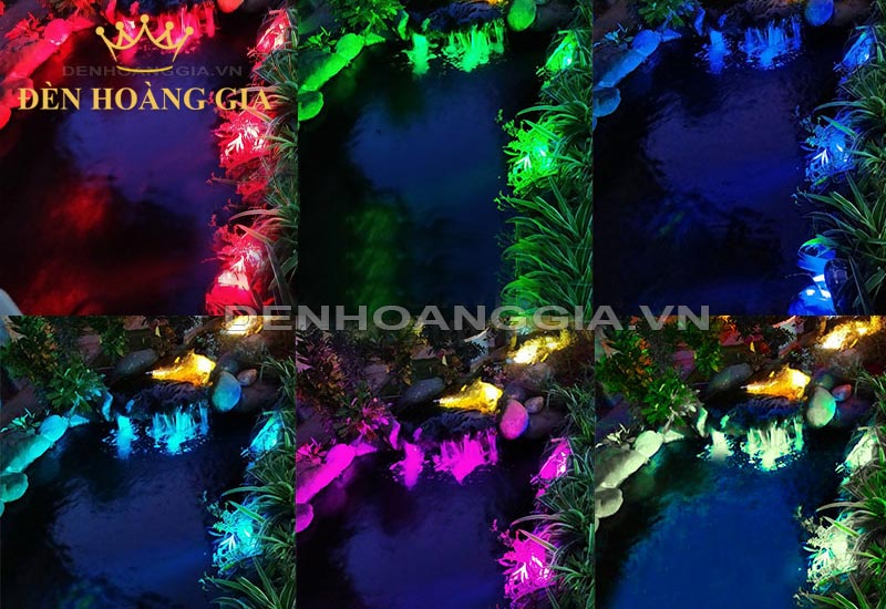 ho-ca-koi-nen-lap-den-anh-sang-mau-sac-gi