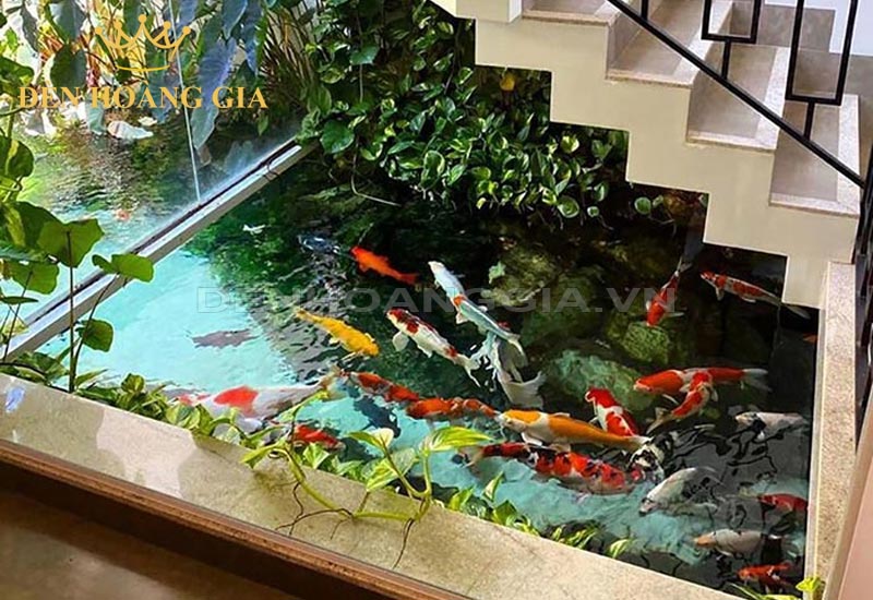 ho-ca-koi-trong-nha-mang-lai-tai-loc