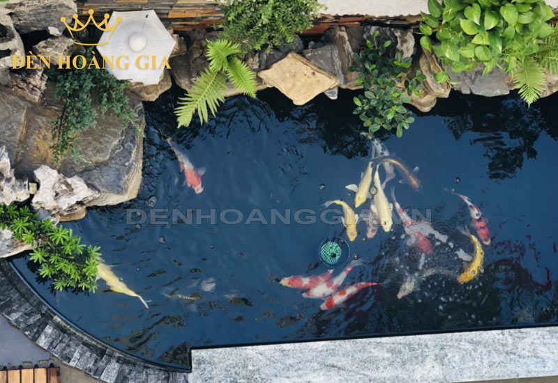 y-tuong-trng-tri-ho-ca-xi-mang-ngoai-troi