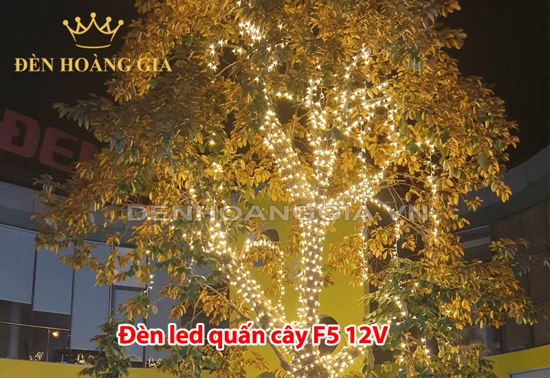 den-led-quan-cay-f5-12v-dang-hat