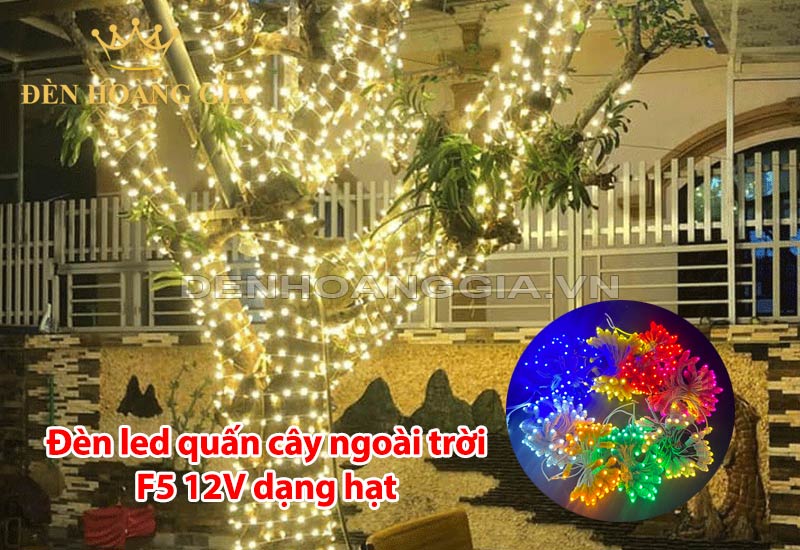 dia-chi-mua-den-led-quan-cay-ngoai-troi-f5-12v-dang-hat