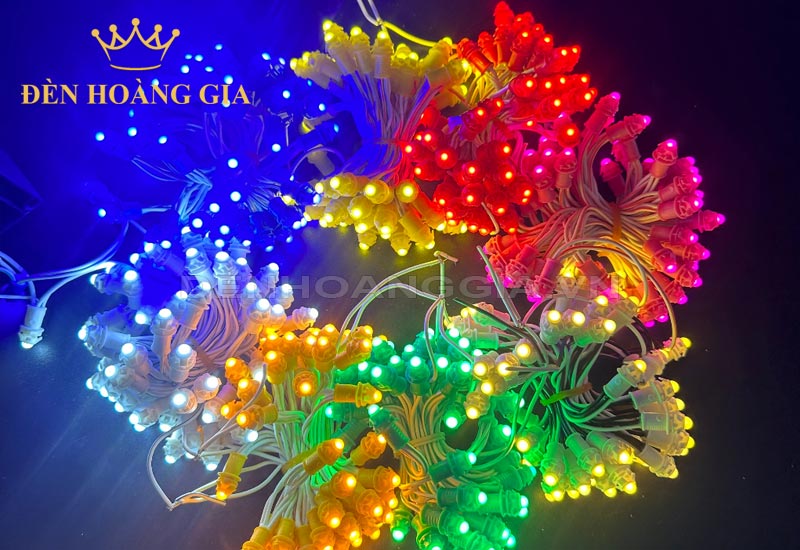 mau-sac-anh-sang-den-led-quan-cay-ngoai-troi-f5