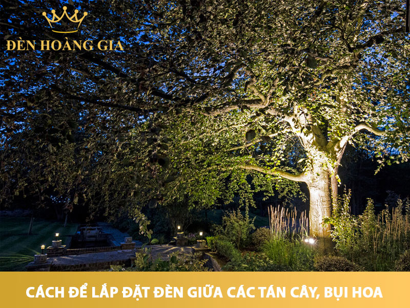 Hướng dẫn lắp đặt đèn giữa các tán cây, bụi hoa