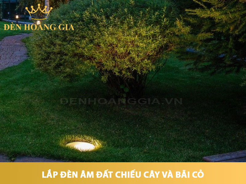 Lắp đèn âm đất chiếu sáng bụi cây và bãi cỏ