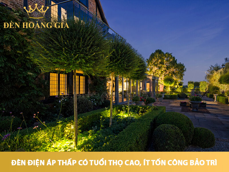 Đèn điện áp thấp có tuổi thọ cao, ít tốn công bảo trì
