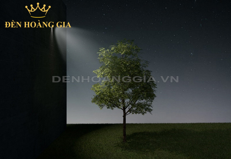 meo-chieu-sang-cho-cay-cao-tan-rong-downlighting