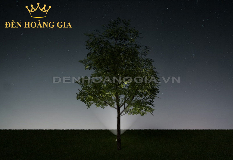 meo-chieu-sang-tu-duoi-len-tan-cay-cao-tan-rong