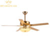 Quạt trần đèn trang trí DHG-QTD1027