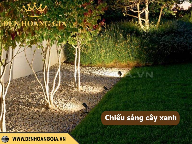 Ý tưởng chiếu sáng làm nổi bật với đèn LED chiếu gốc cây