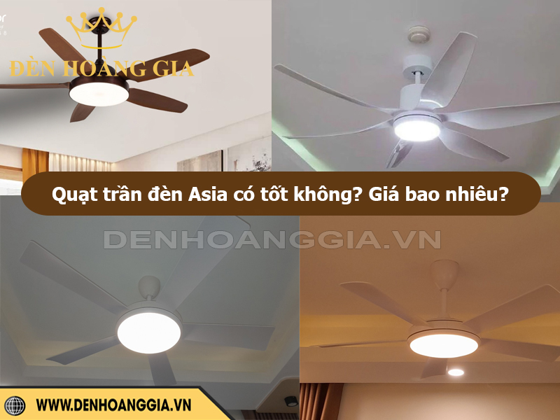 Quạt trần đèn Asia có tốt không? Giá bao nhiêu?