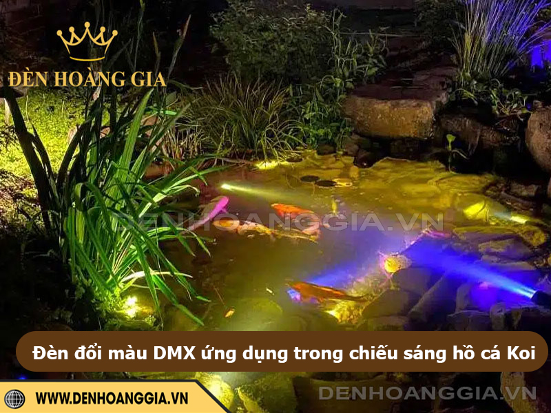 Đèn đổi màu DMX ứng dụng trong chiếu sáng hồ cá Koi