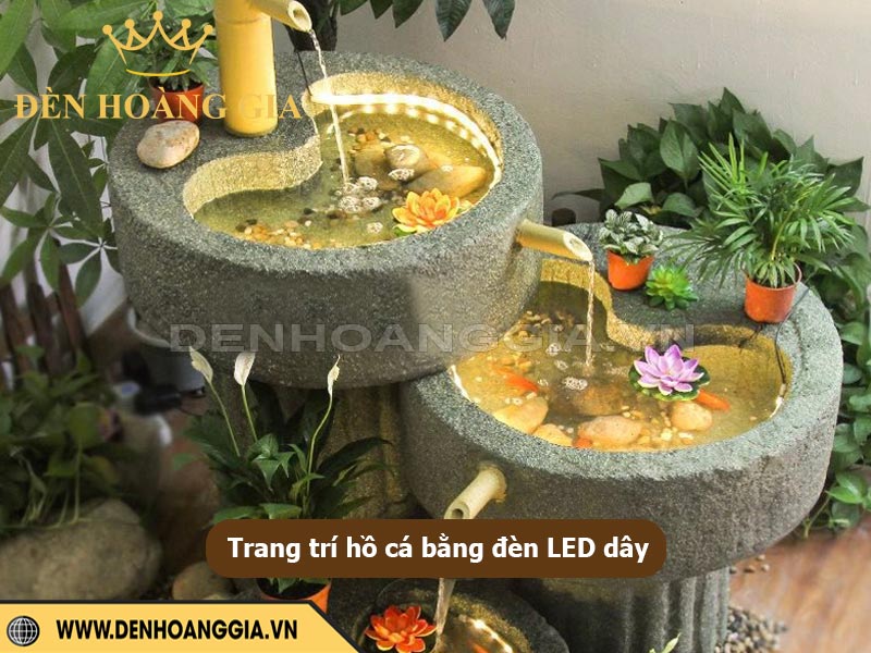 Cách bố trí đèn LED dây trong hồ cá