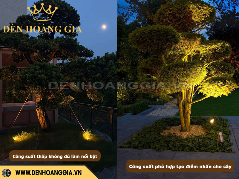 Chọn công suất đèn chiếu cây phù hợp