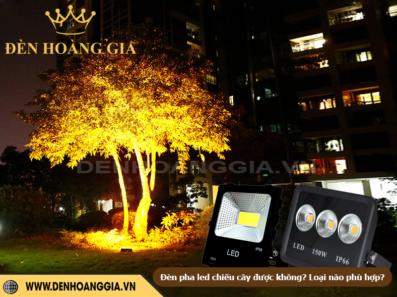Dùng đèn pha led chiếu cây được không? Loại nào phù hợp?