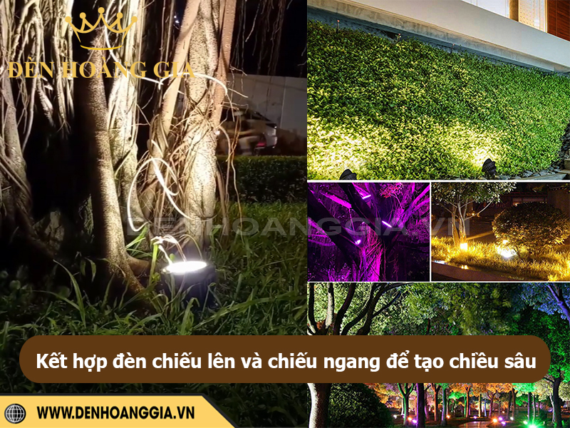Kết hợp nhiều đèn chiếu cây hiệu quả