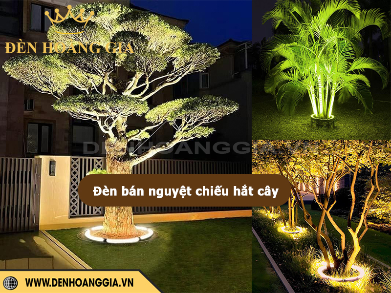Đèn led bán nguyệt chiếu hắt cây