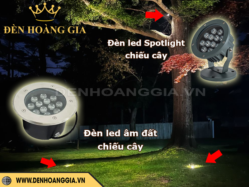 Nên lắp kết hợp đèn led âm đất chiếu cây và đèn spotlight