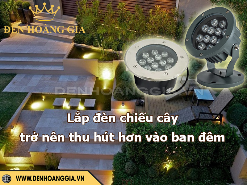 Lắp đèn chiếu cây giúp sân vườn ban đêm ấn tượng và thu hút hơn