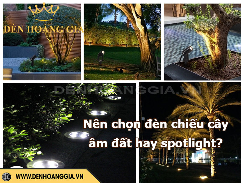 Nên chọn đèn chiếu cây âm đất hay spotlight?