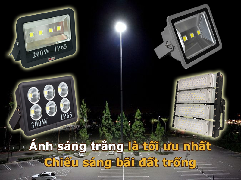 Bãi đất trống nên ưu tiên chọn ánh sáng trắng