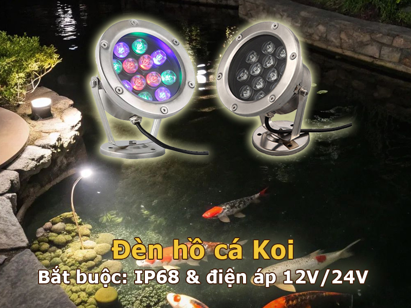 Đèn hồ cá Koi bắt buộc IP68 và điện áp 12V/24V