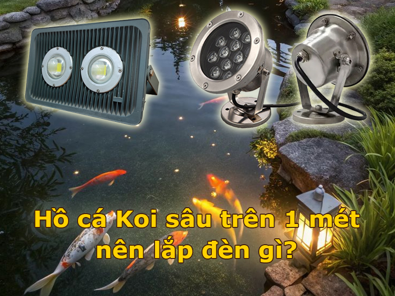Đèn hồ các Koi sâu trên 1m nên chọn loại đèn nào?
