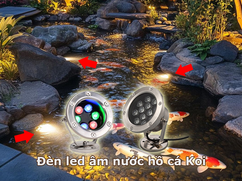 Đèn led âm nước cho hồ cá Koi chuyên dụng