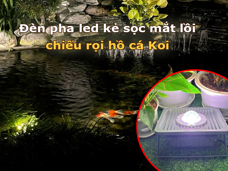 Đèn pha led kẻ sọc mắt lồi chiếu rọi hồ cá Koi
