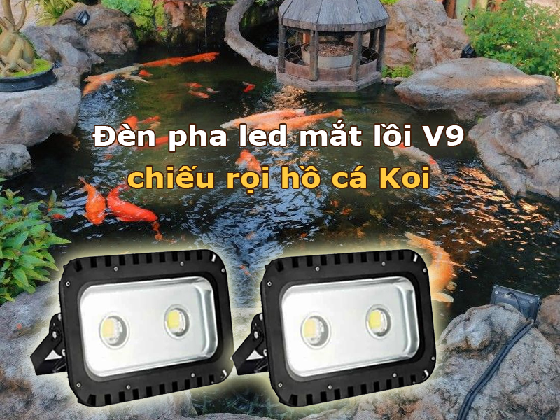 Đèn pha led mắt cầu V9 chiếu rọi hồ cá Koi