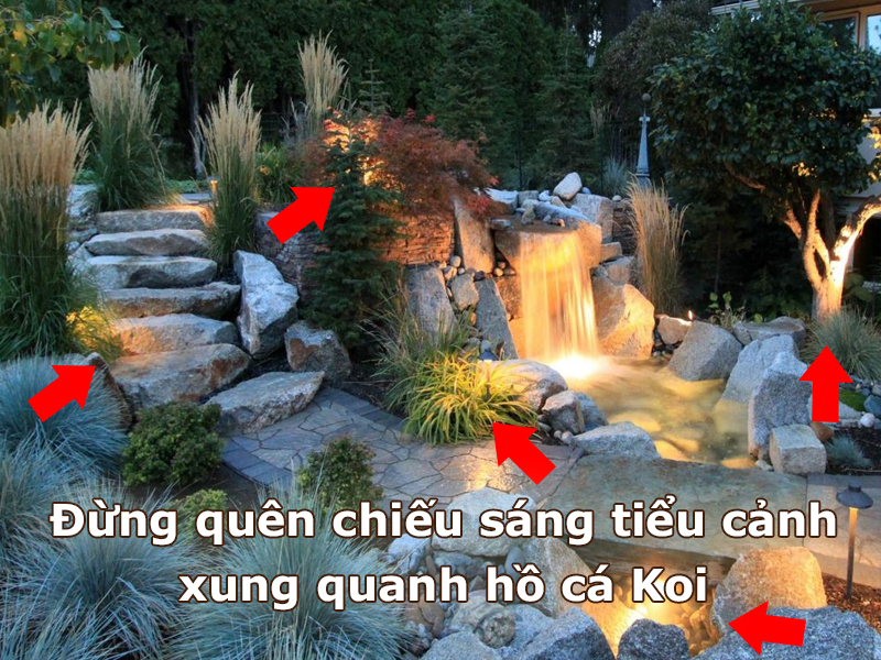 Đừng quên chiếu sáng tiểu cảnh xung quanh hồ cá Koi