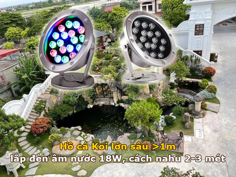 Hồ cá Koi lớn, sâu >1 mét lắp đèn led âm nước 18W