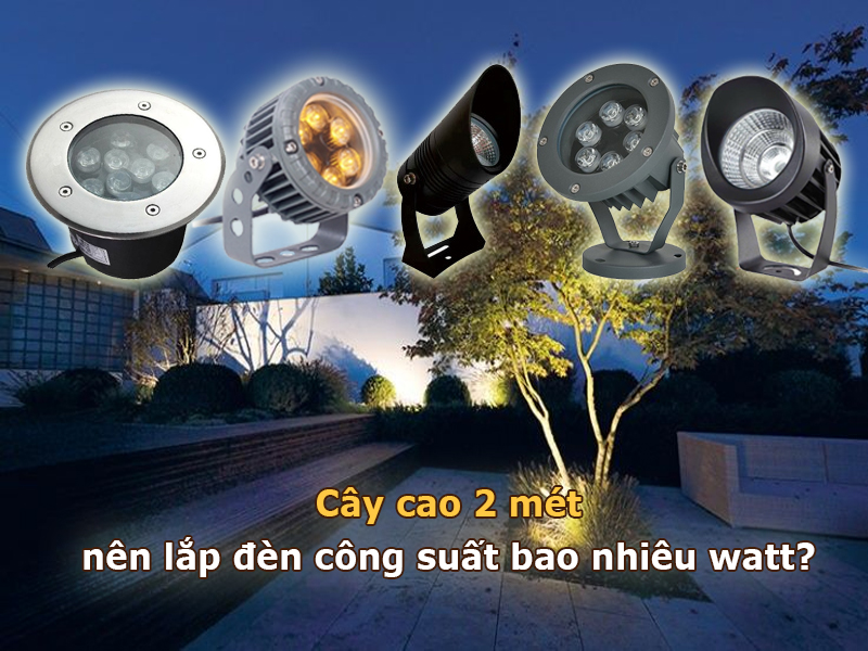 Cây cao 2 mét nên dùng đèn chiếu cây công suất bao nhiêu watt?
