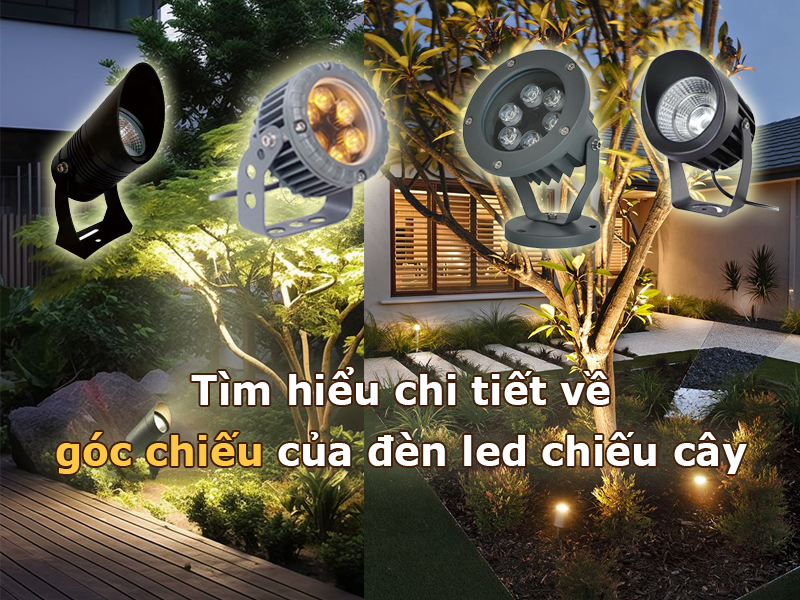Tìm hiểu chi tiết về góc chiếu của đèn led chiếu cây