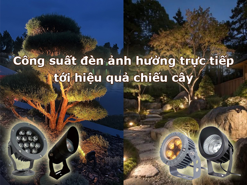 Công suất ảnh hưởng trực tiếp tới hiệu quả chiếu cây